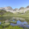 25-07-17 Goldener Sommer